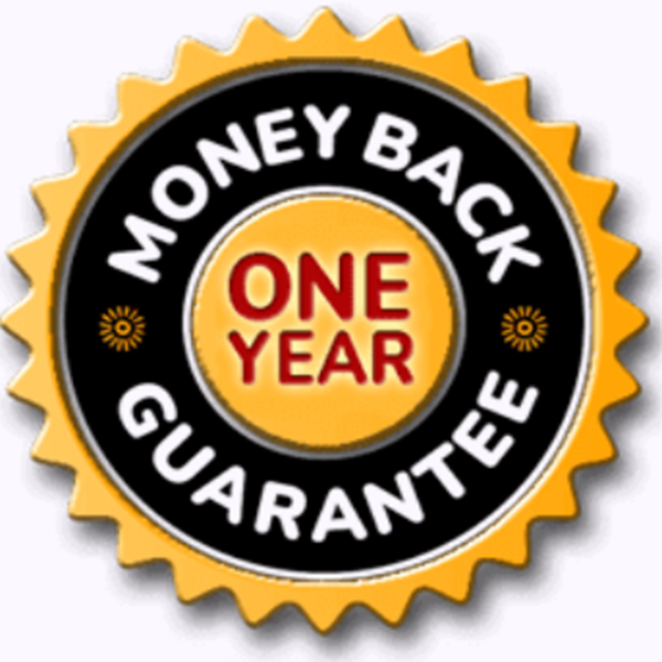 CogniSurge quality badge